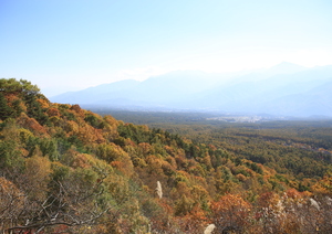 創造の森・展望台