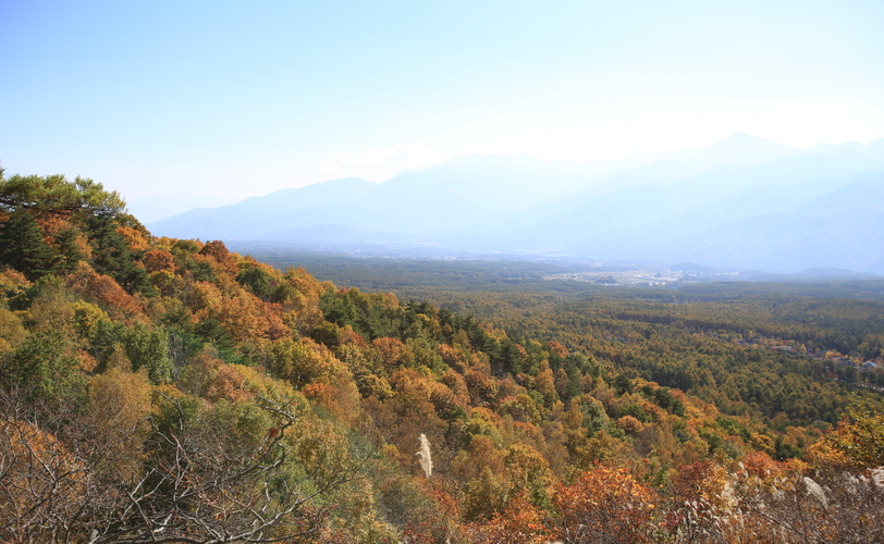 創造の森・展望台